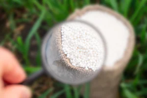 magnifying-glass-persons-hand-looking-white-granulated-fertilizer-small-bag-close-up copy