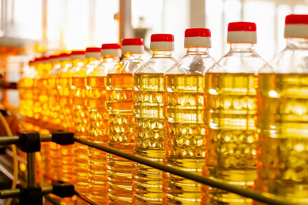 Sunflower Oil